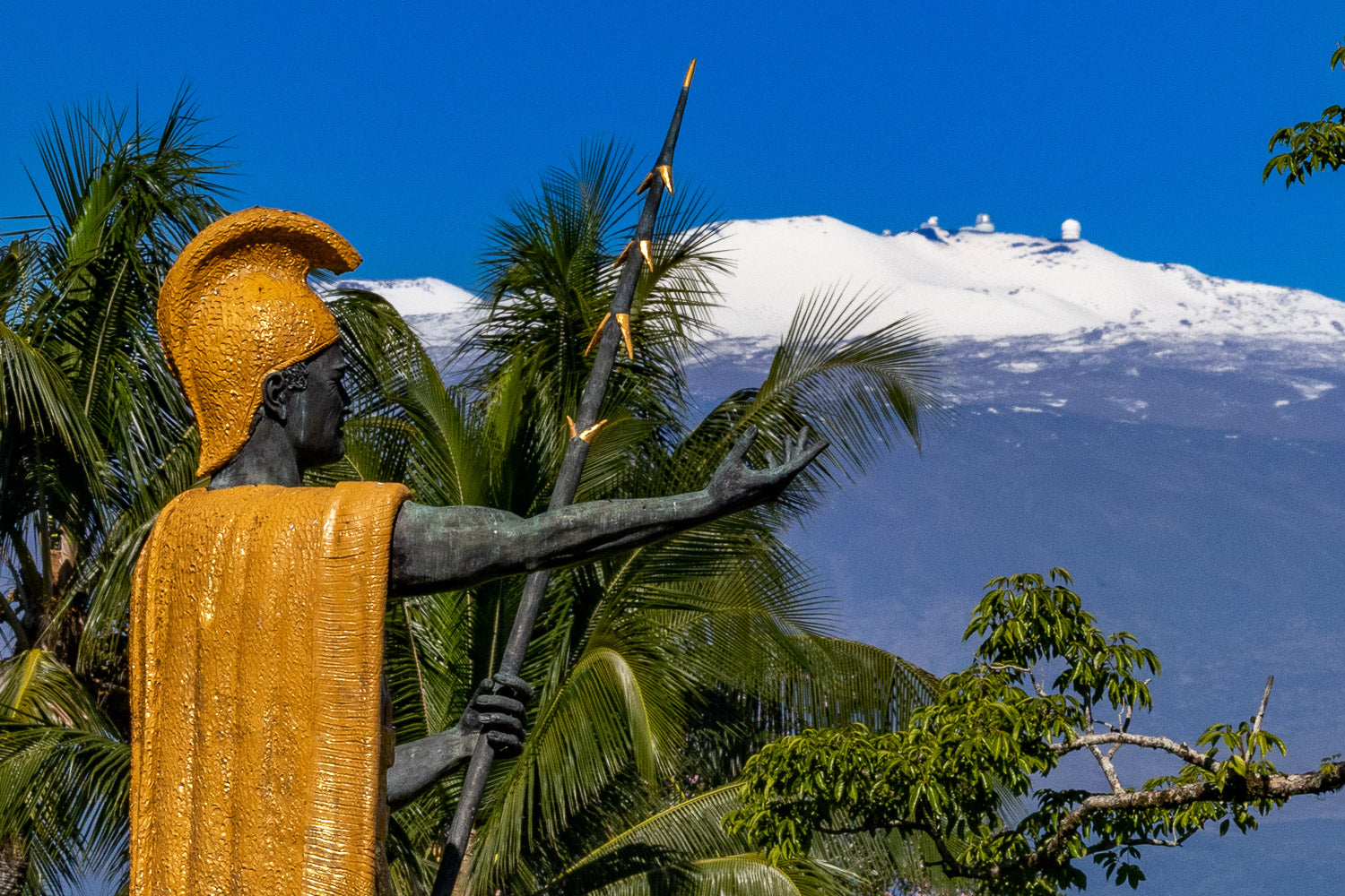 "Kamehameha Snow" - Hilo, Hawaii
