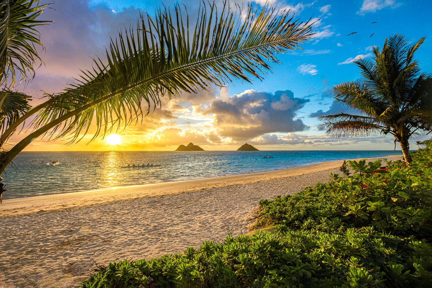 "Lanikai Living" - Lanikai, Oahu