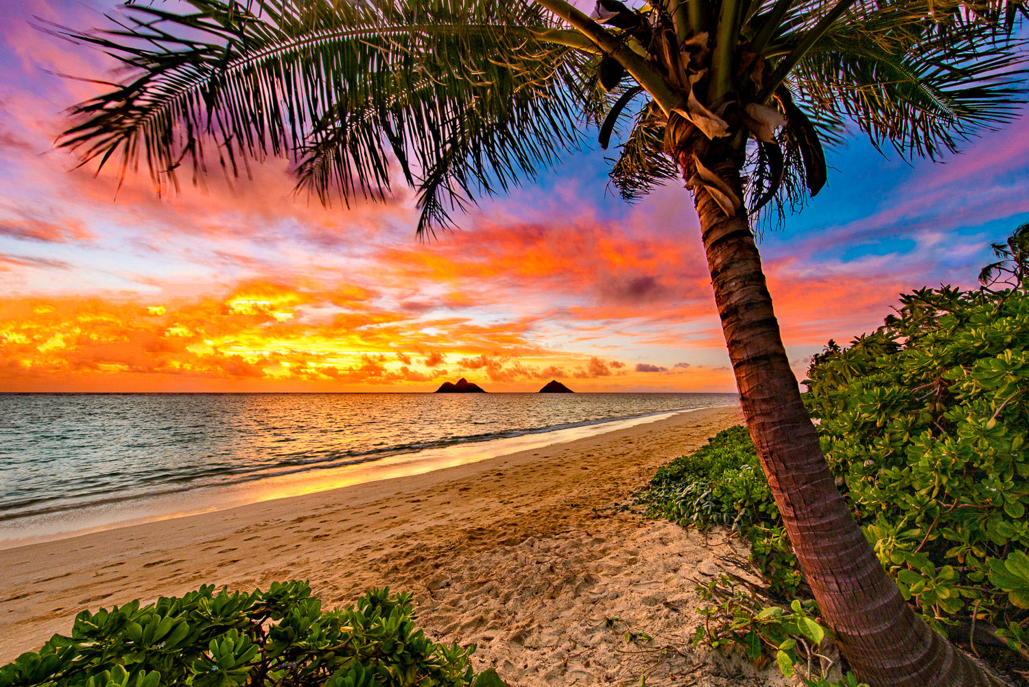 "Lanikai Mai Thai" - Lanikai, Oahu