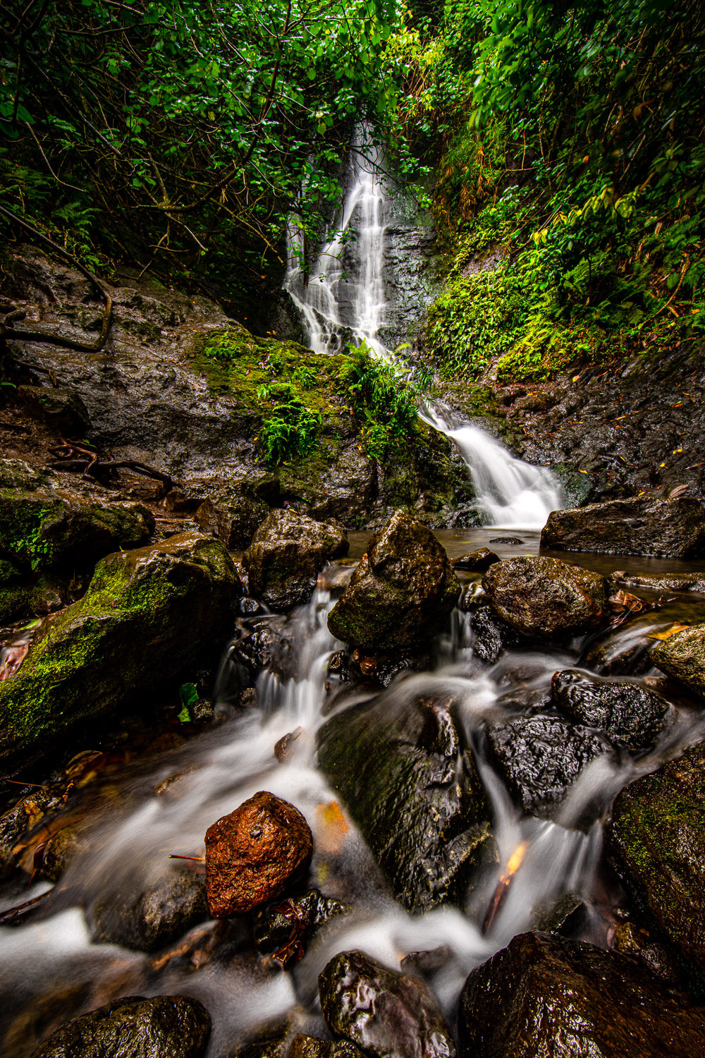 "Likeke" - Kaneohe, Oahu