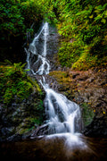 "Likeke Falls" - Kaneohe, Oahu