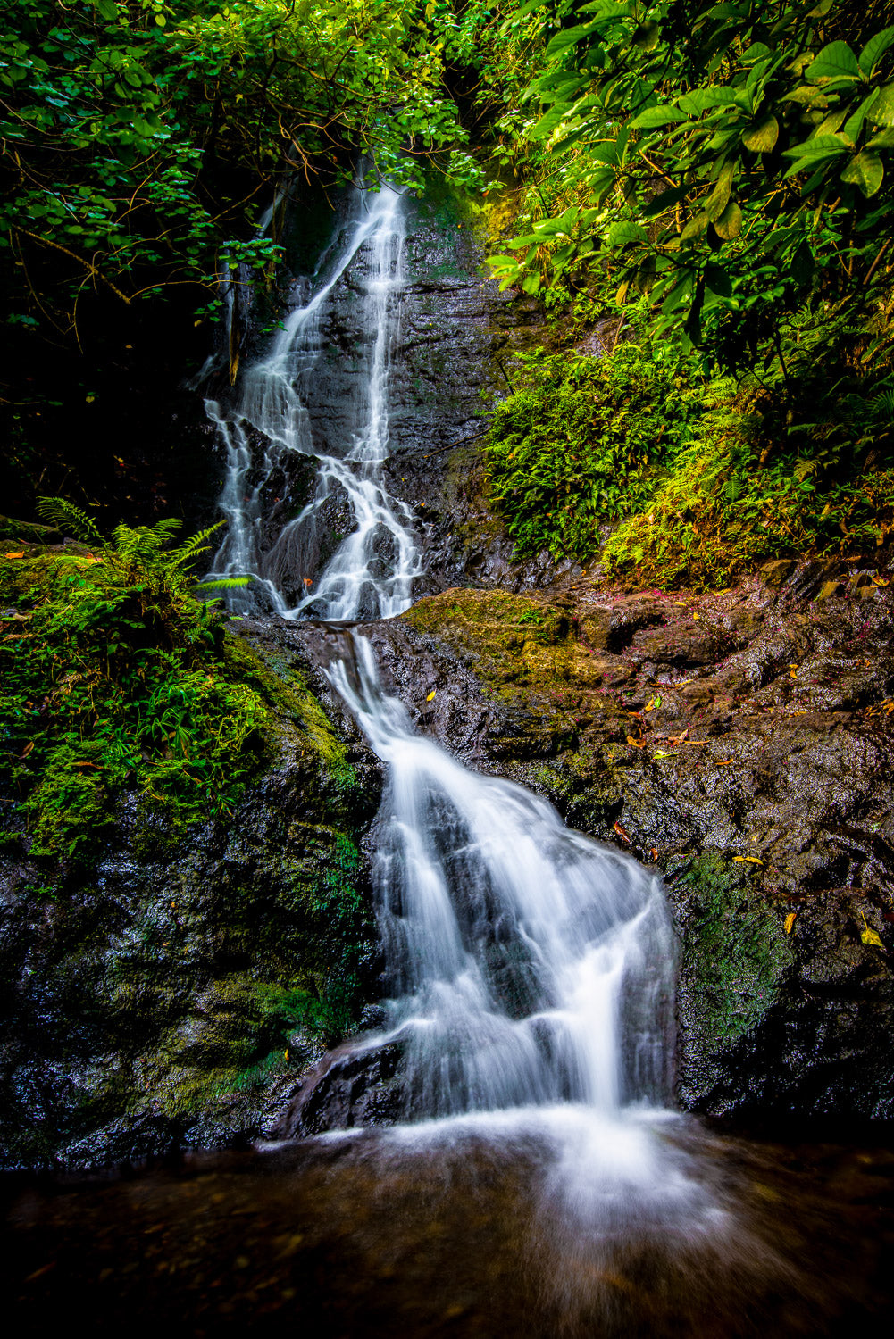 "Likeke Falls" - Kaneohe, Oahu