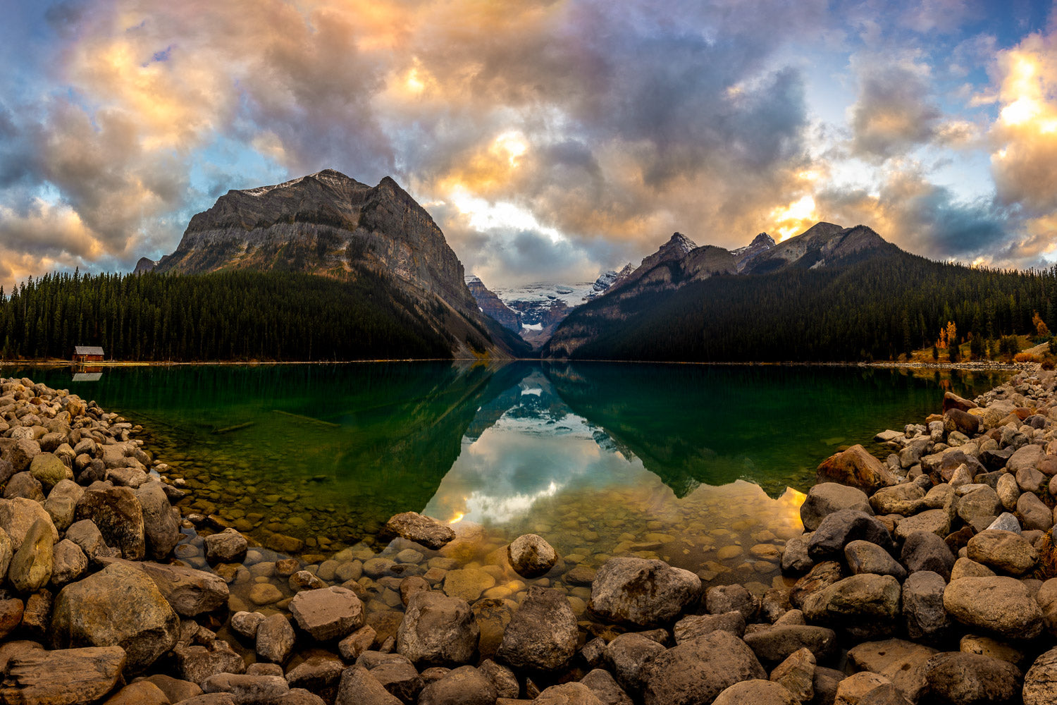 "Lolo - Lake Louise, Alberta, Canada