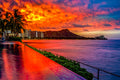"Lucky Linc" - Waikiki, Oahu