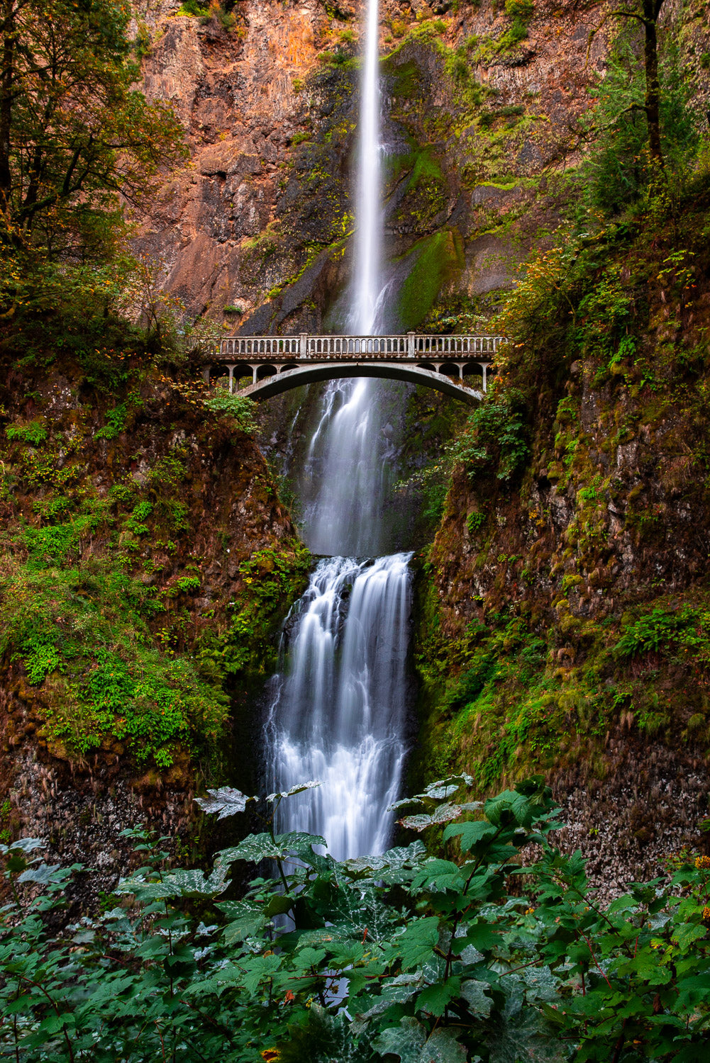 "Multomeh Falls I" - Columbia River Gorge, Oregon