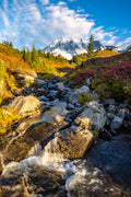 "Myrtle I" - Mount Rainier National Park, Washington