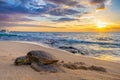 "Nap at Night" - Kona, Hawaii