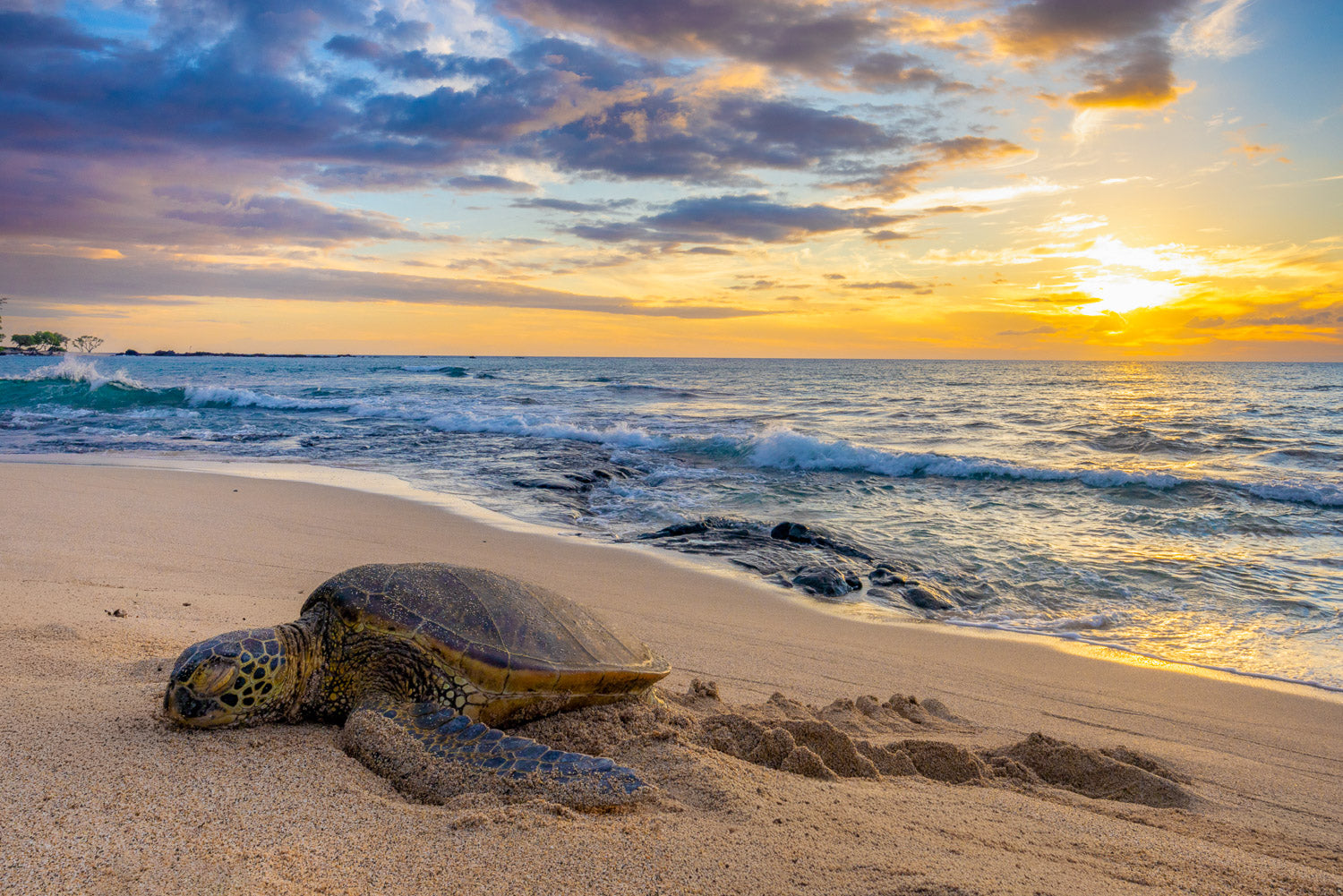 "Nap at Night" - Kona, Hawaii