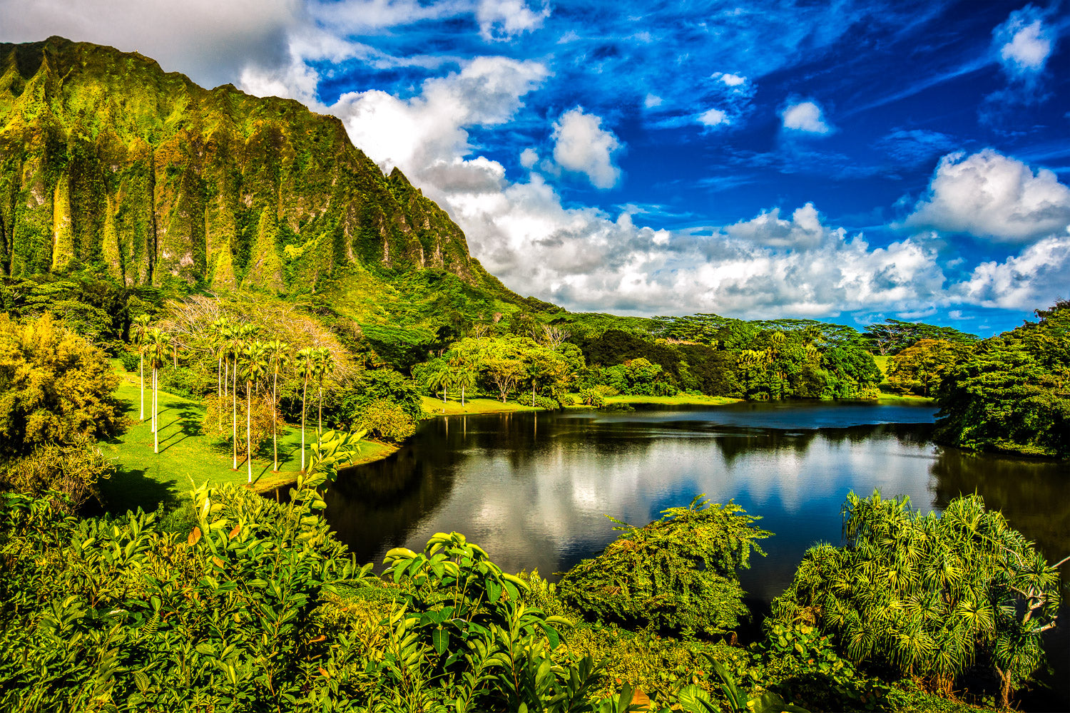 "Nature More" - Kaneohe, Oahu
