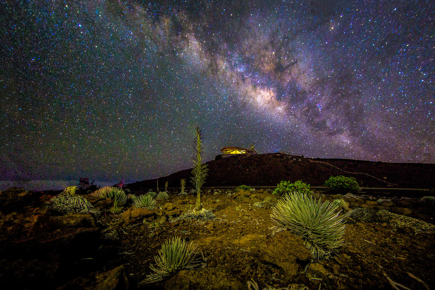 "Observation" - Haleakala NP, Maui