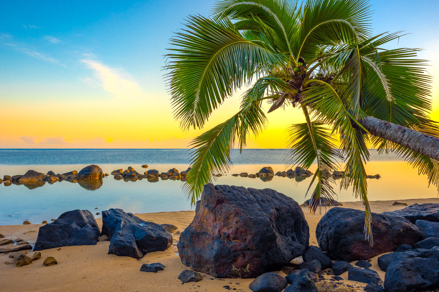 "Palm Royale" - North Shore, Kauai
