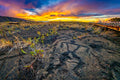 "PetroMan" - Hawaii Volcano NP, Hawaii