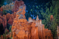 "Platform" - Bryce Canyon, Utah