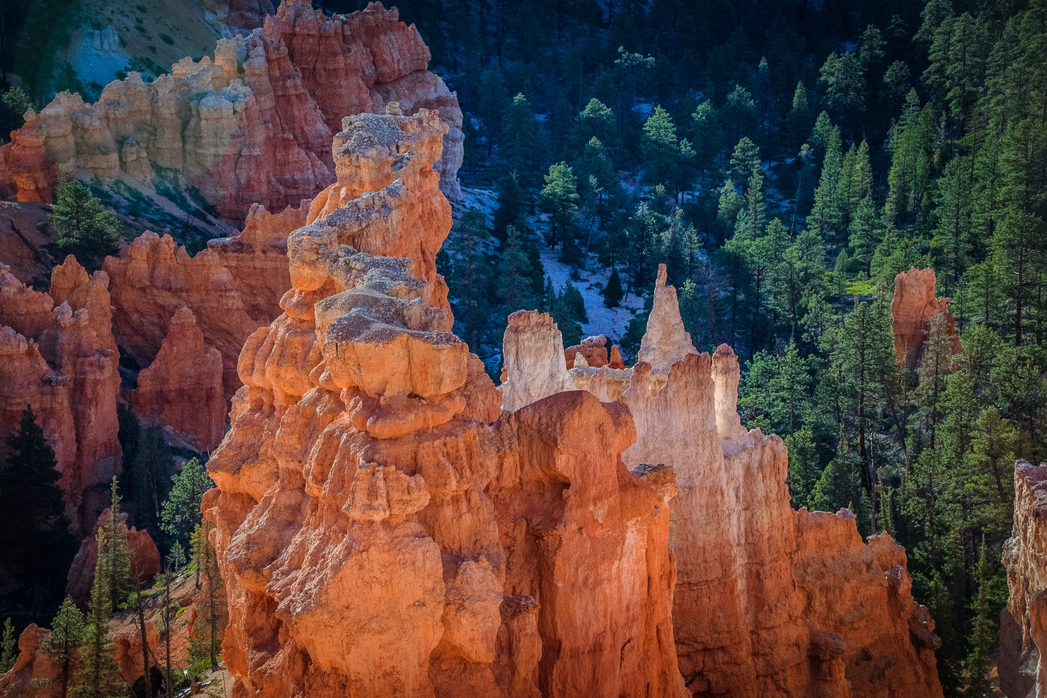"Platform" - Bryce Canyon, Utah