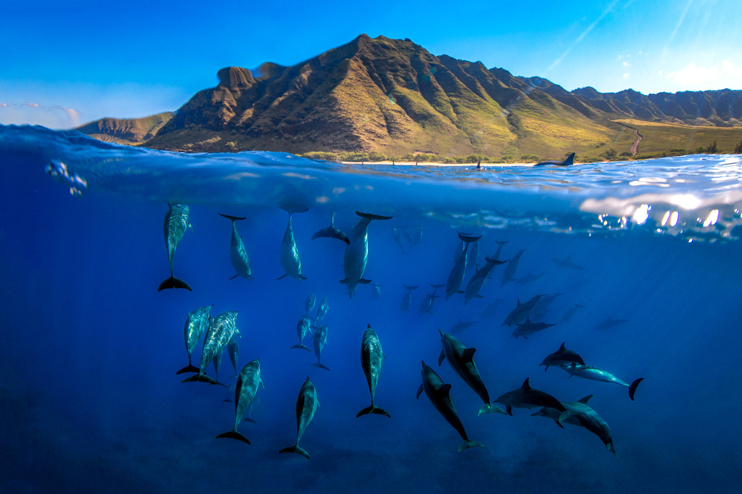 "Pod Mentality" - WestSide, Oahu
