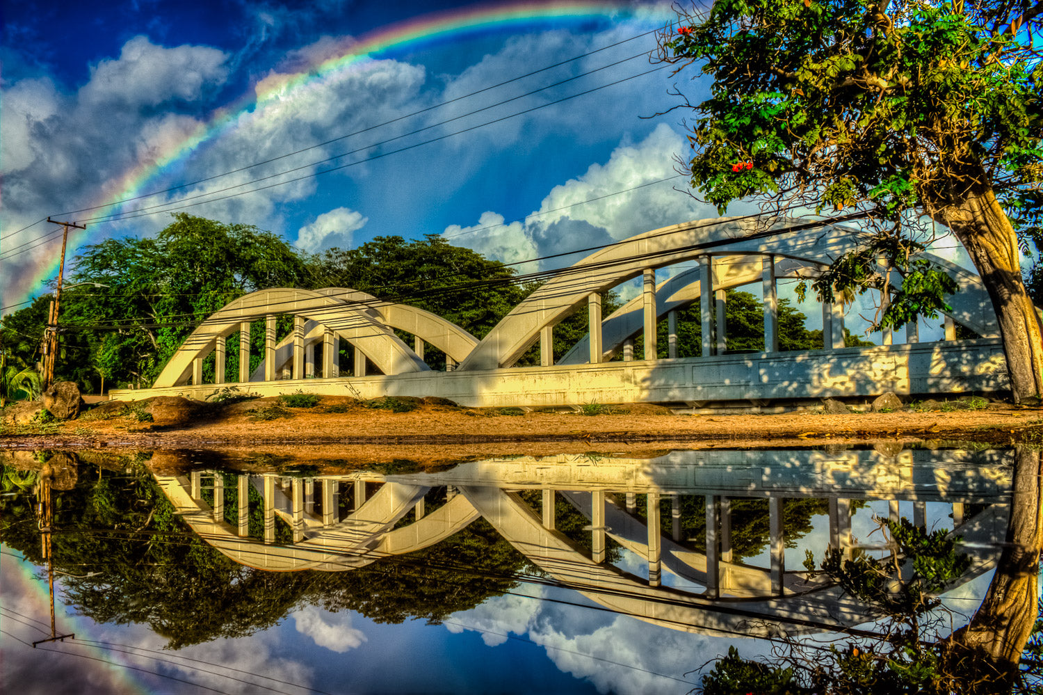 "QuadBows" - Haleiwa, Oahu