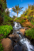 "Queen's Falls" - Princeville, Kauai (Queen's Bath)