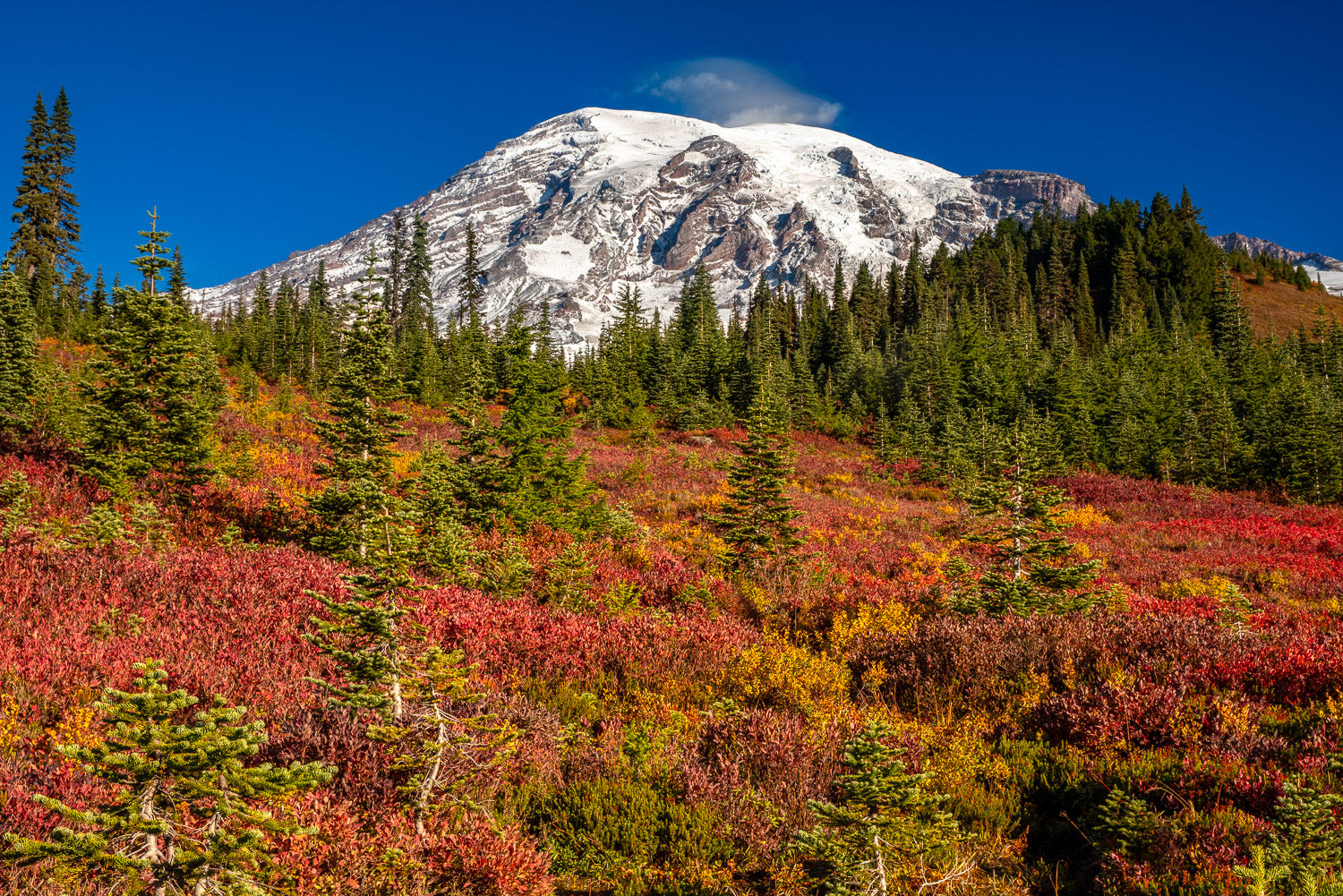 "Rainier Fall" - Mount Rainier National Park, Washington