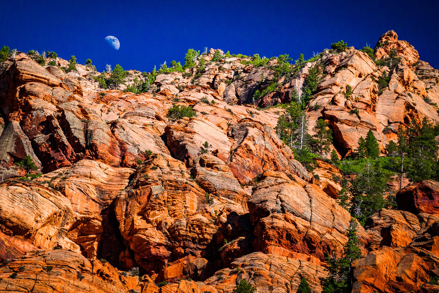 "Red Rock Moonrise" - Zion National Park, Utah