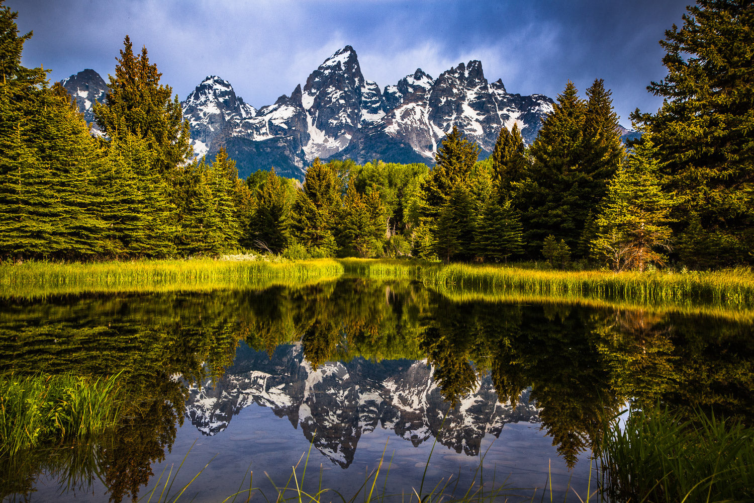 "Reflecting" - Grand Teton National Park, Wyoming