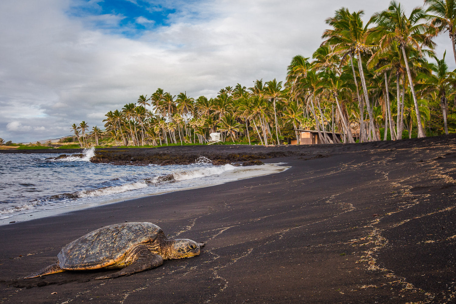 "Relax" - Punalu'u, Hawaii