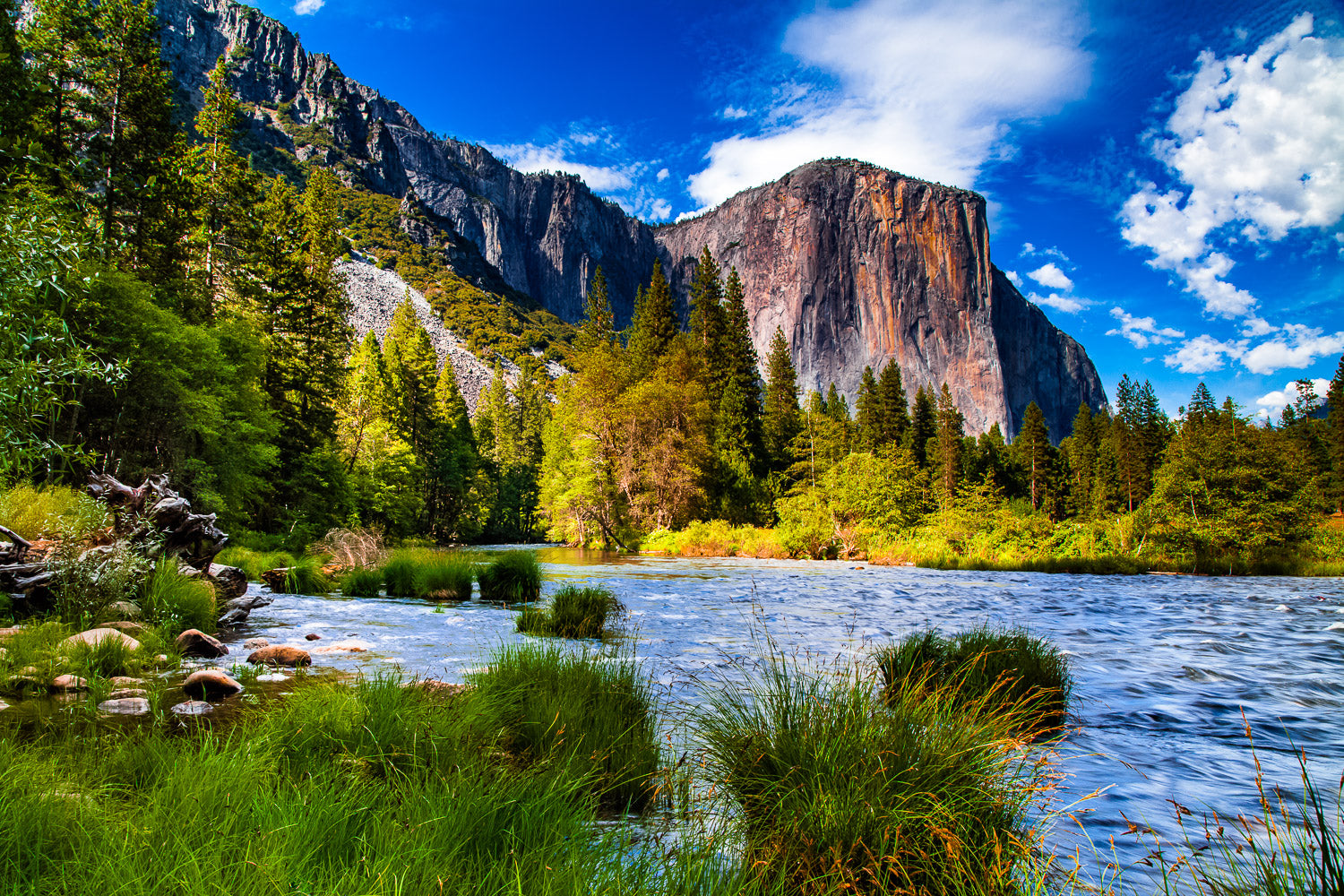 "Riverside" - Yosemite National Park, California