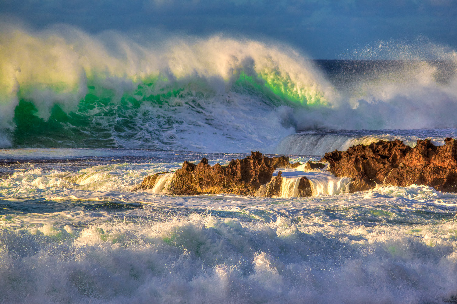 "Roaring Ducky" - Rubber Duckies, North Shore, Oahu