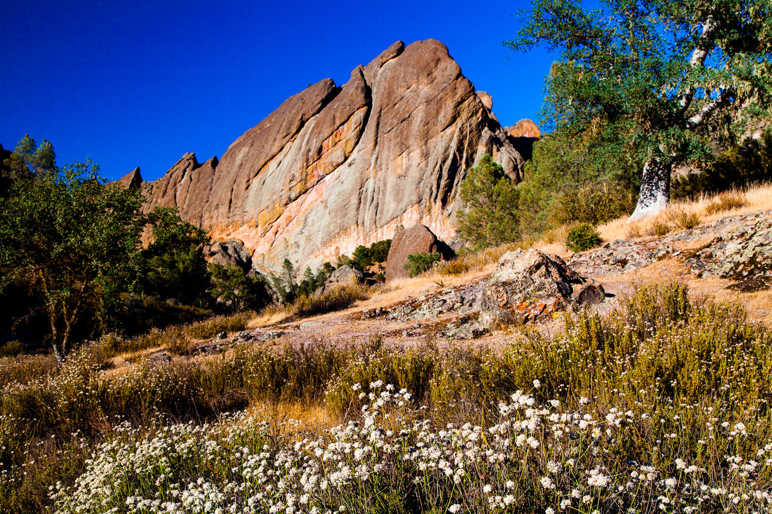 "Round 20" - Pinnacles National Park, California