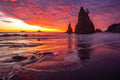 "Run" - Rialto Beach, Olympic National Park, Washington