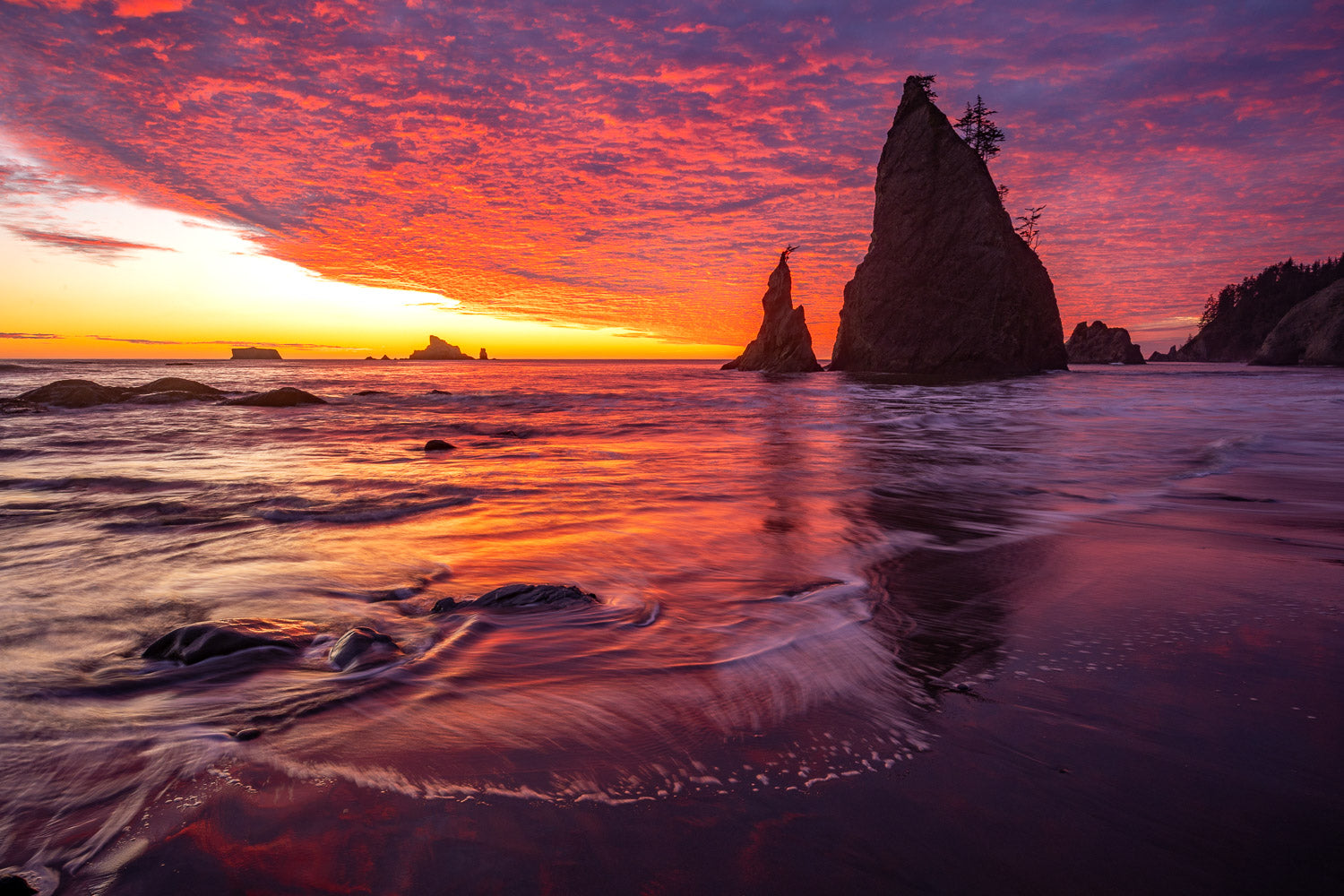 "Run" - Rialto Beach, Olympic National Park, Washington