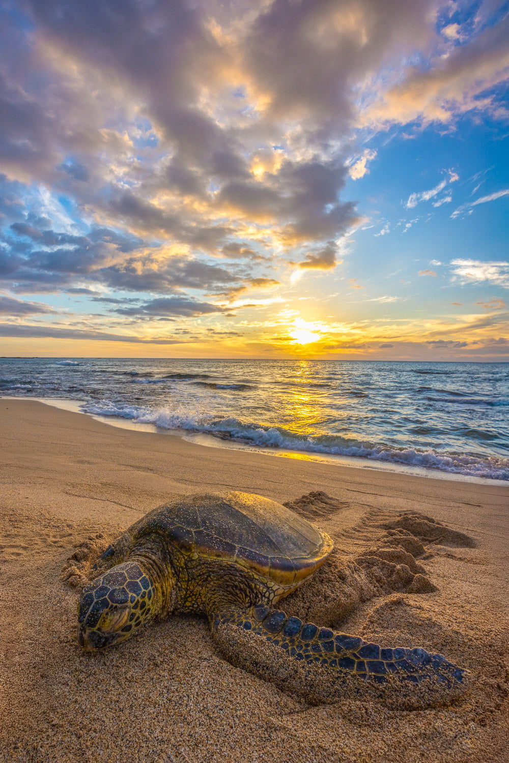 "Runway" - Kona, Hawaii