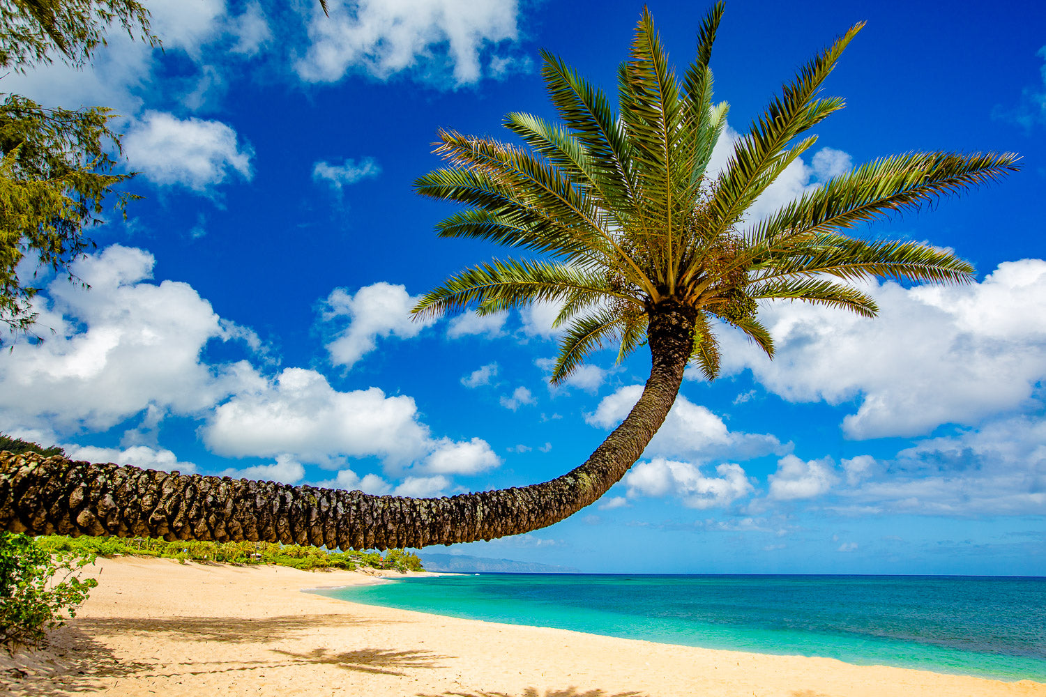 "Sandy Toes" - Sunset Beach, Oahu
