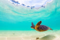 "ScreenTime" - North Shore, Oahu