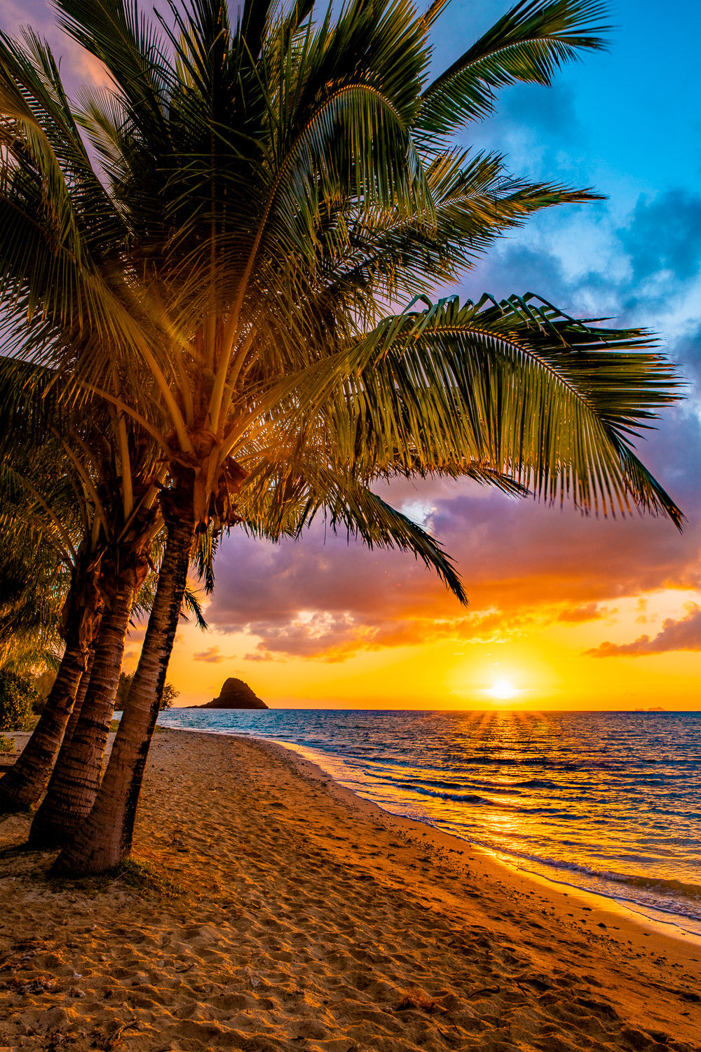 "Secrets- Ka'a'awa, Oahu