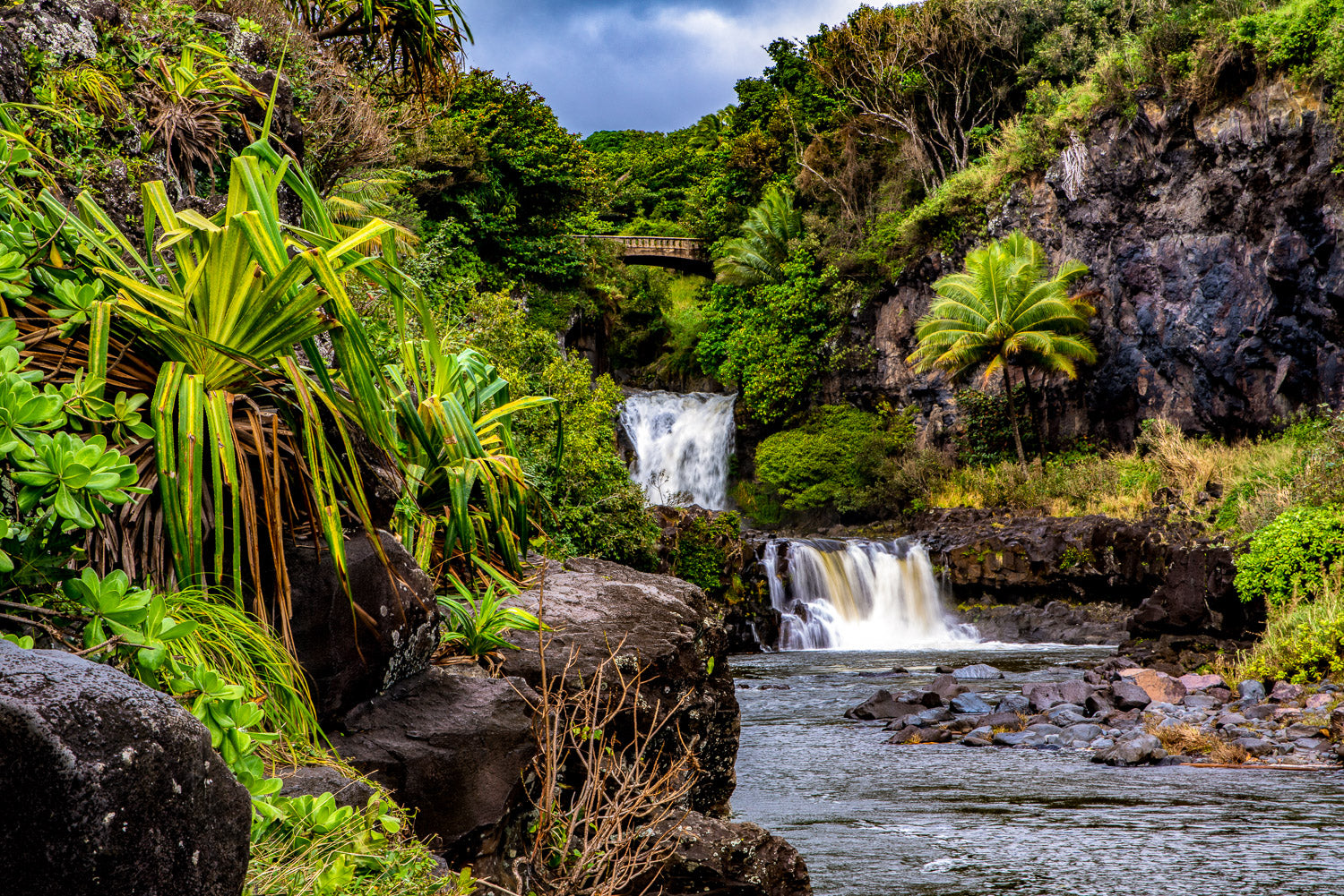 "Seven" - Haleakala NP, Maui
