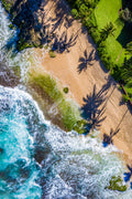 "Shadow Loa" - North Shore, Oahu