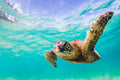 "Silk" - North Shore, Oahu
