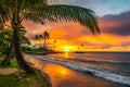 "Slice" - Kahala, Oahu