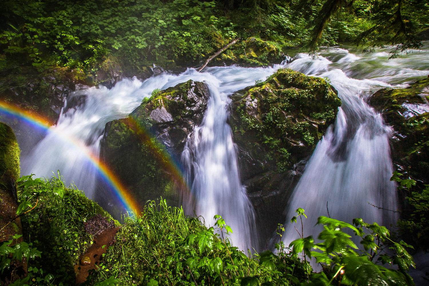 "Sol Duc Falls" - Olympic National Park, Washington