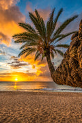 "Solo Sunset" - Sunset Beach, Oahu
