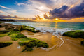 "Stars Unite" - Haleiwa, Oahu