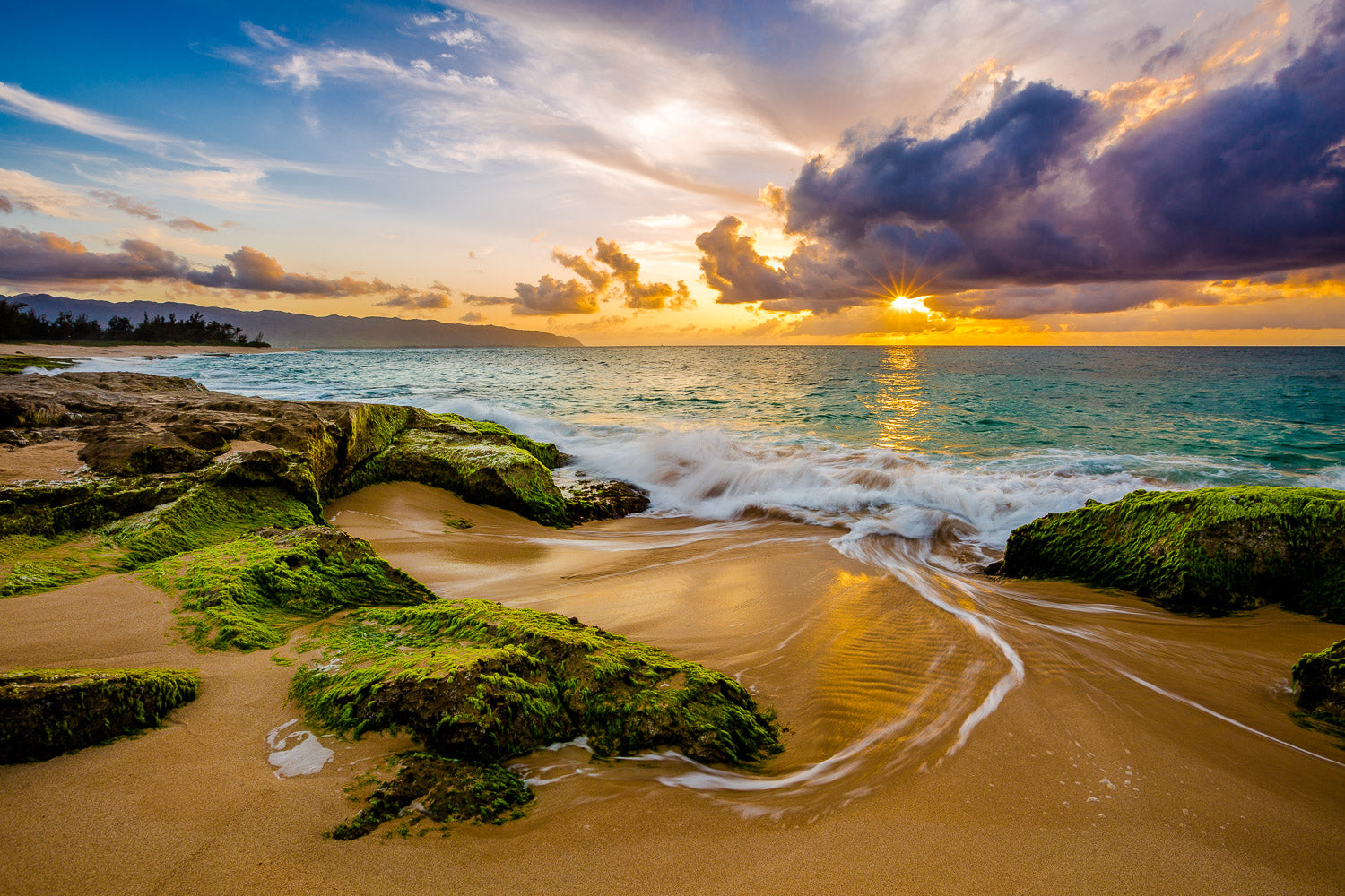 "Stars Unite" - Haleiwa, Oahu