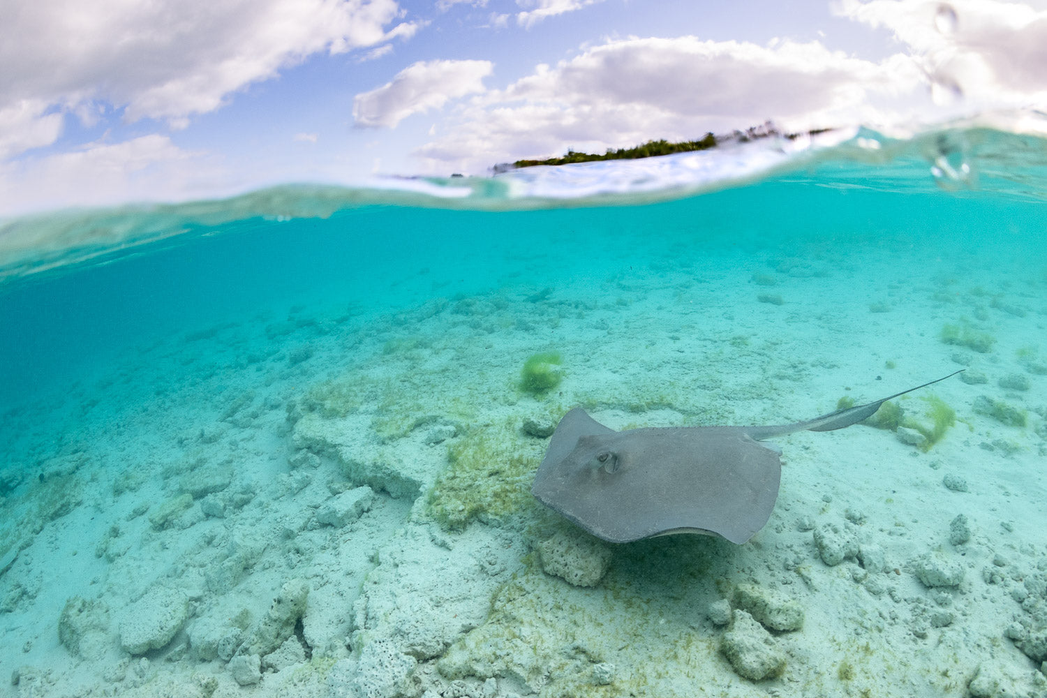 "Stingray Stepstone" - Exumas, The Bahamas