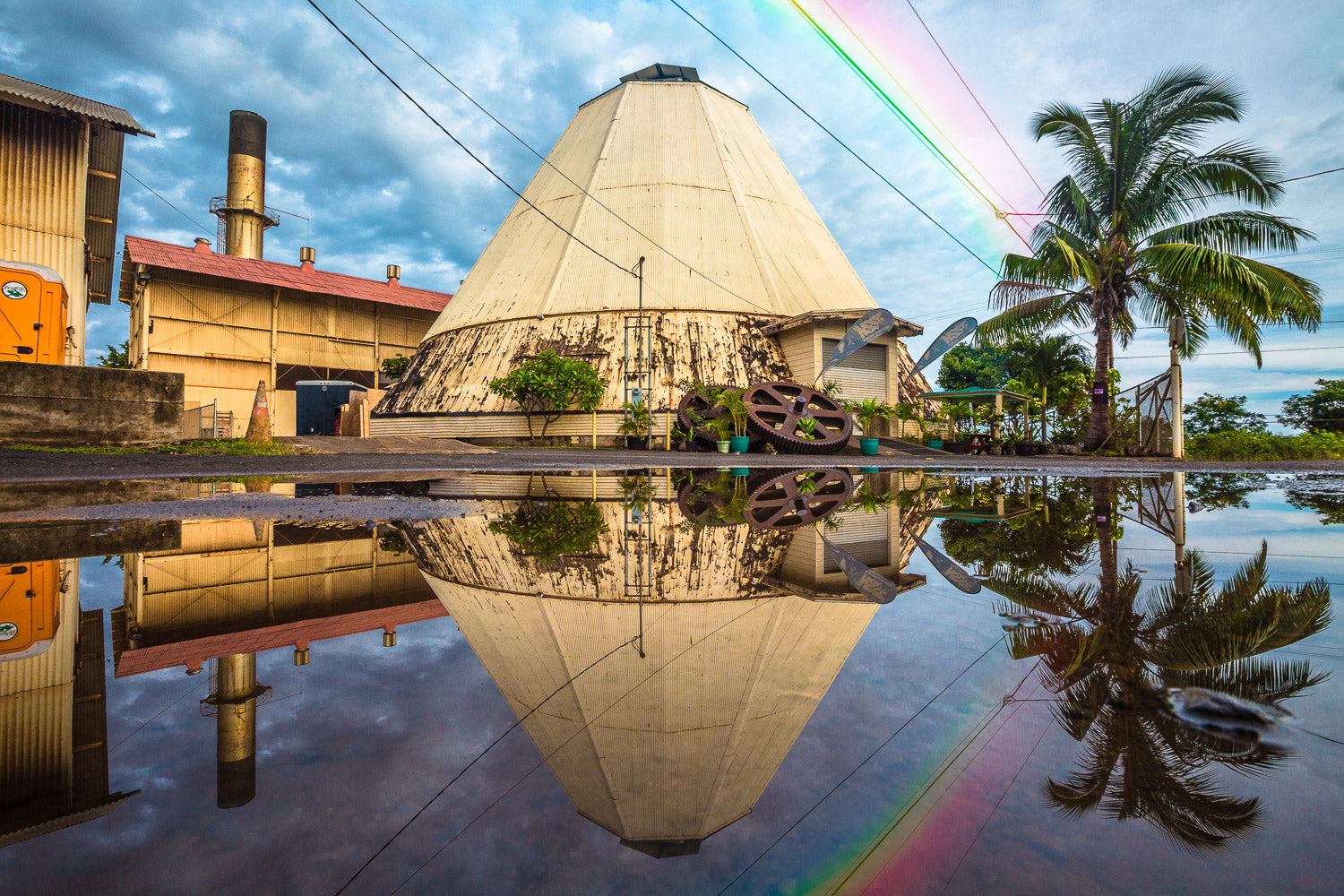 "Sugar" - Waialua, Oahu