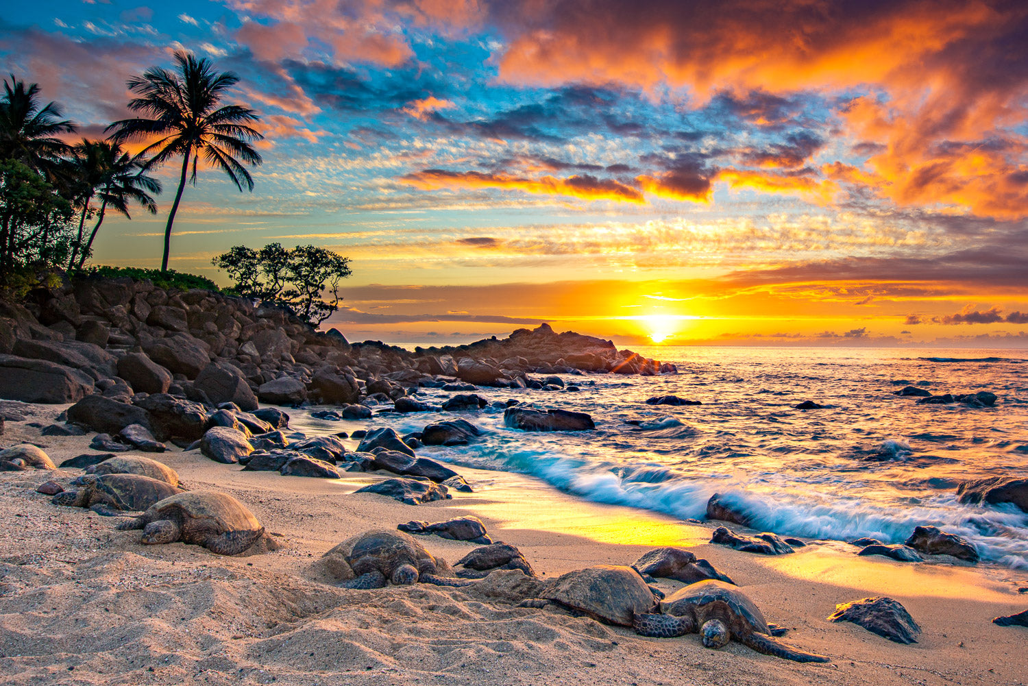 "Sunset with the Bale" - North Shore, Oahu