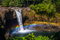 "Taste the Rainbow" - Hilo, Hawaii