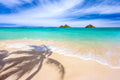 "The Beach"