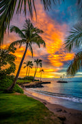 "The Jungle" - Kahala, Oahu