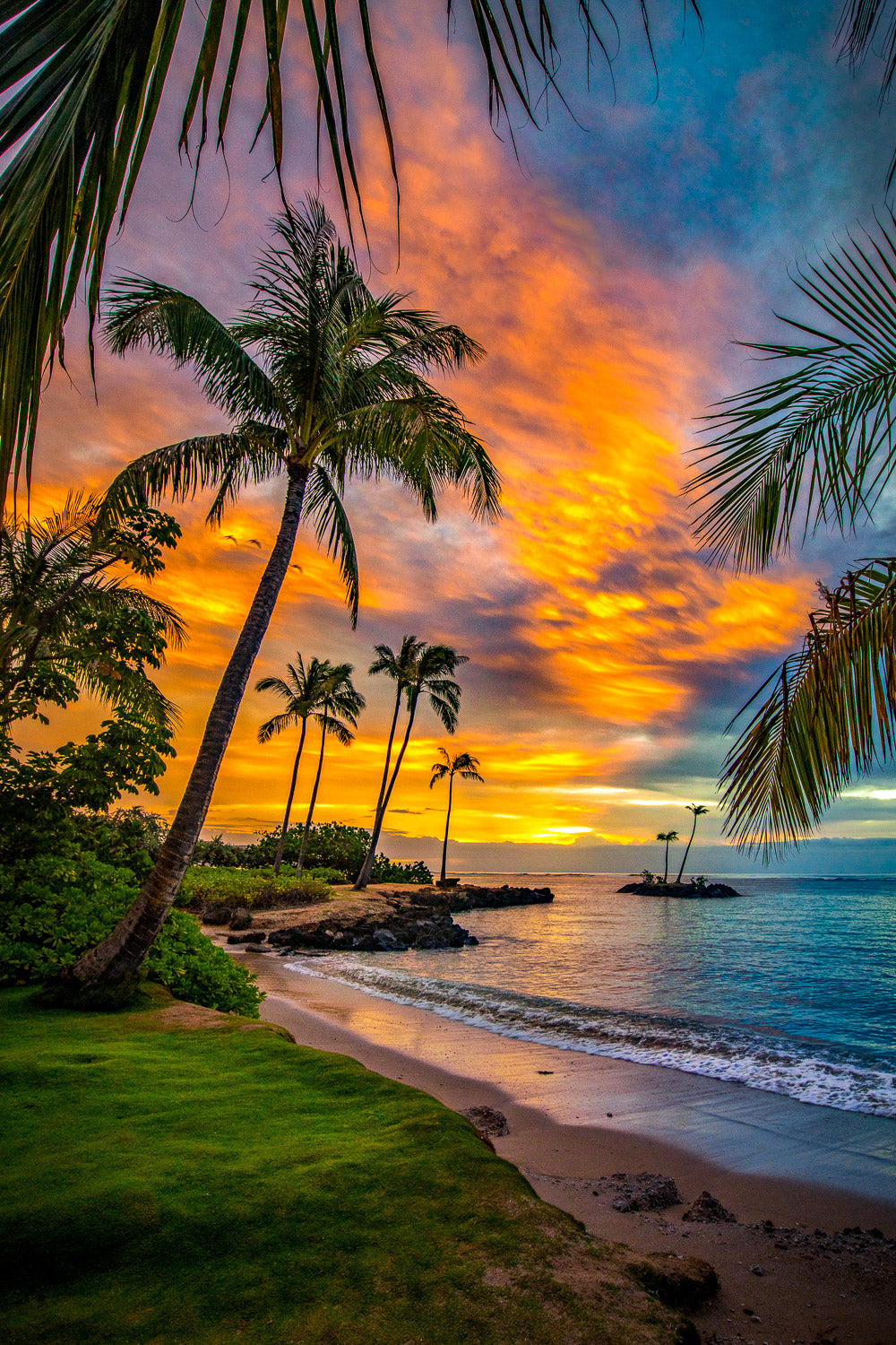 "The Jungle" - Kahala, Oahu