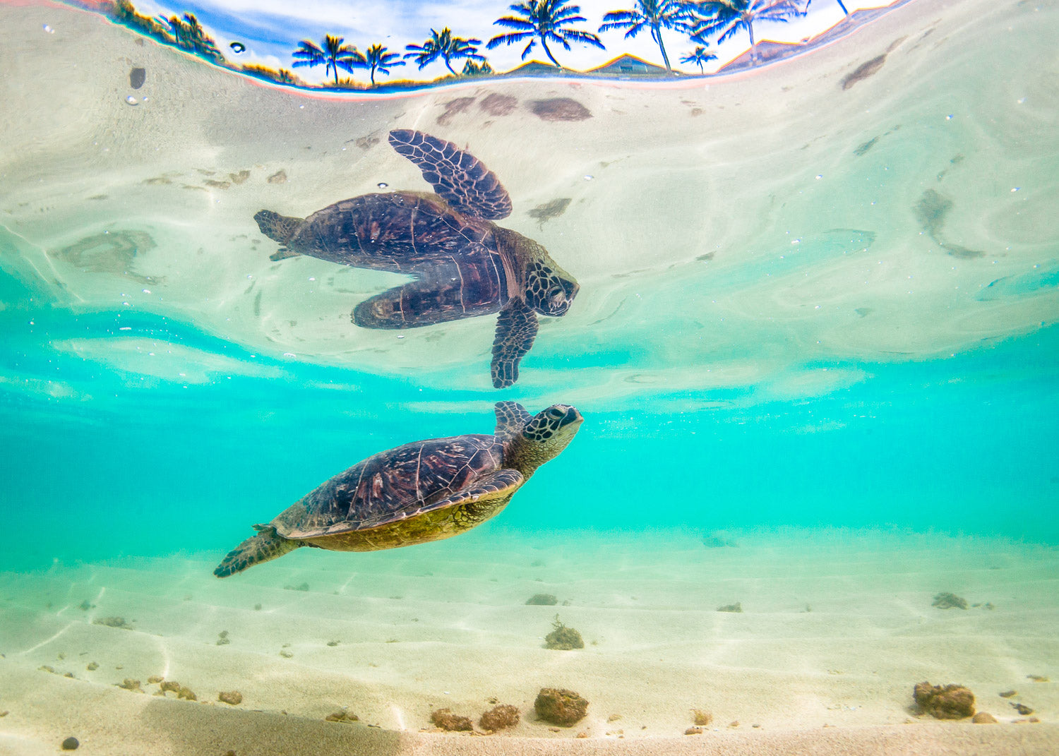 "The Matrix" - North Shore, Oahu